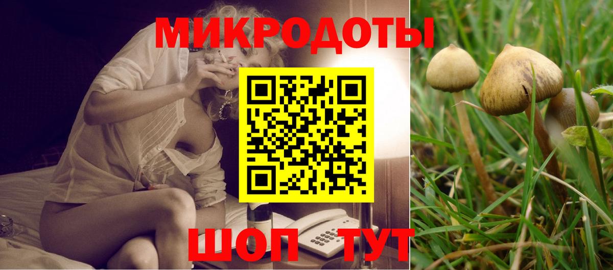 Псилоцибиновые грибы прущие грибы Омск