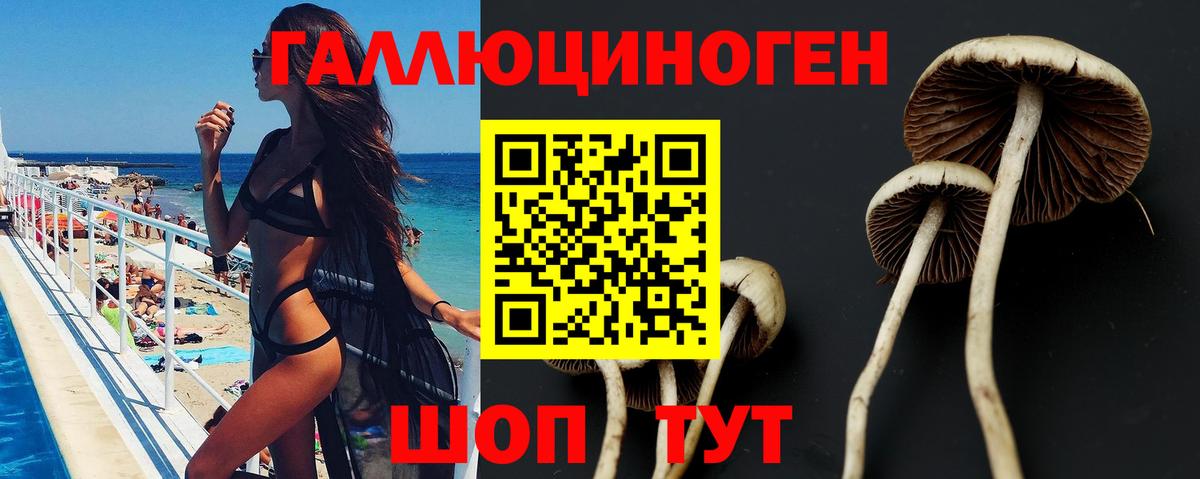 Псилоцибиновые грибы мицелий  Псилоцибиновые грибы Psilocybe  Омск  Вход с VPN 